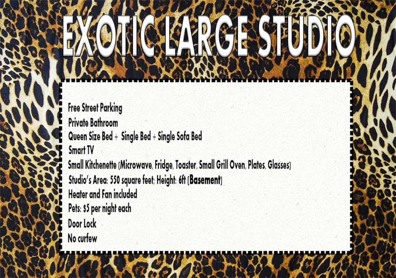 Отель Exotic Large Basement Studio Монреаль Экстерьер фото